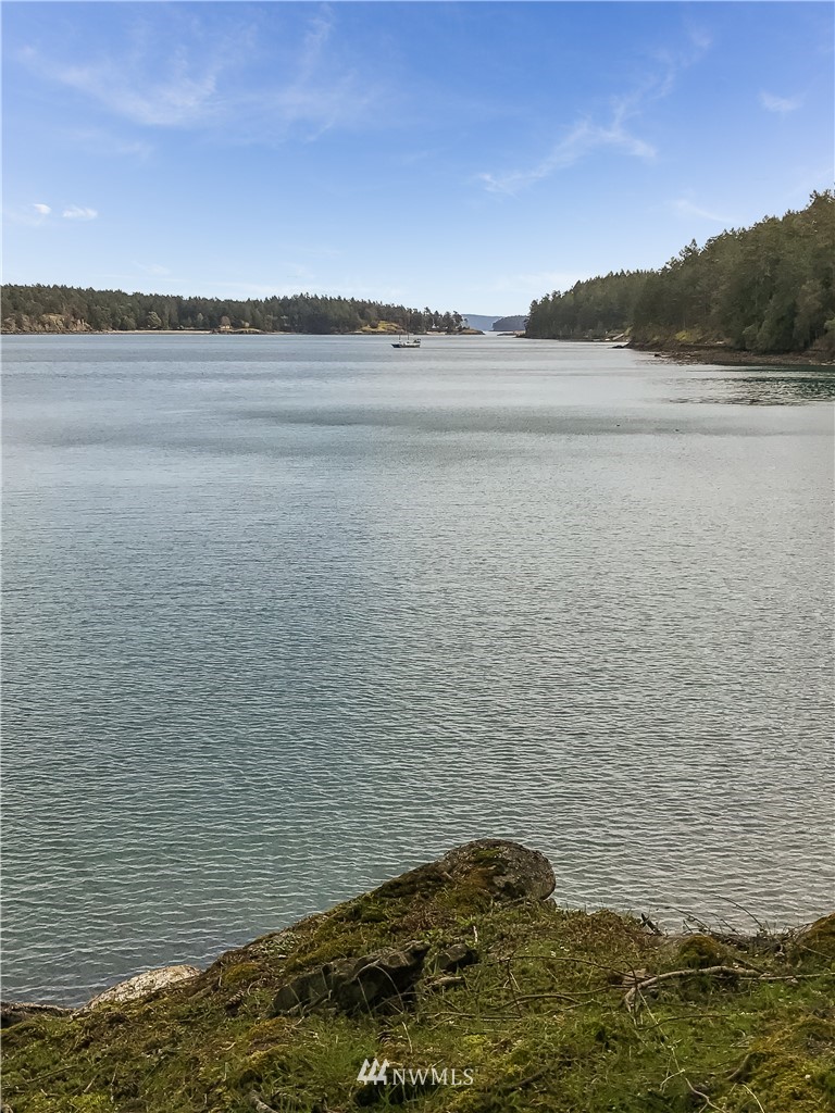 0 Reid Harbor Road Friday Harbor, WA 98250 - Photo 26 of 40 Gallery Image 26