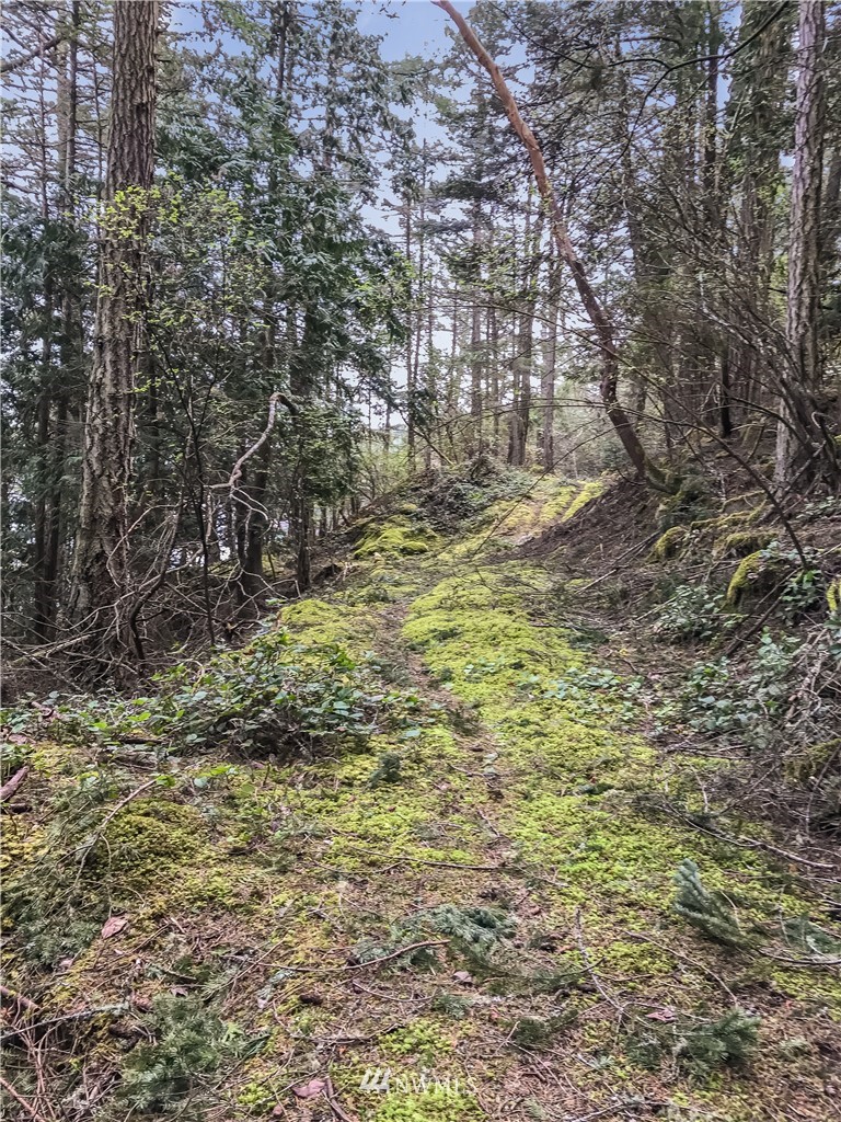 0 Reid Harbor Road Friday Harbor, WA 98250 - Photo 28 of 40 Gallery Image 28