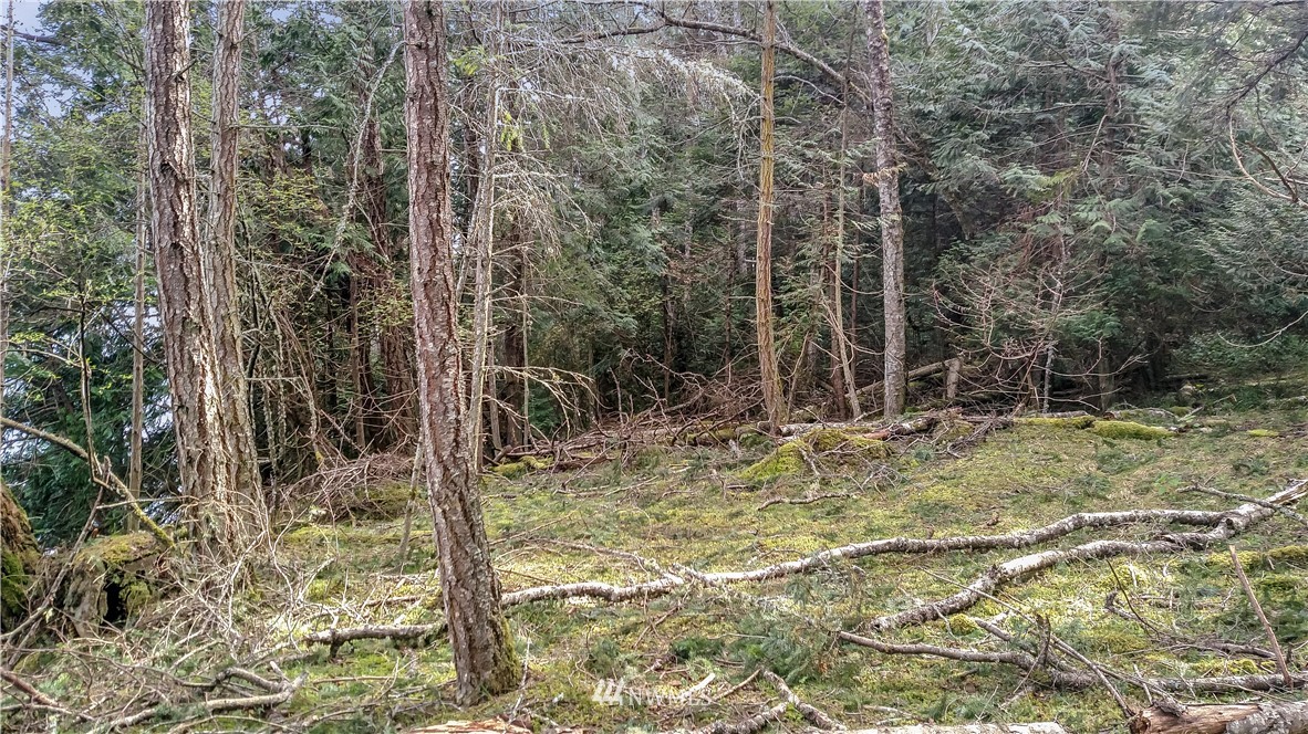 0 Reid Harbor Road Friday Harbor, WA 98250 - Photo 33 of 40 Gallery Image 33