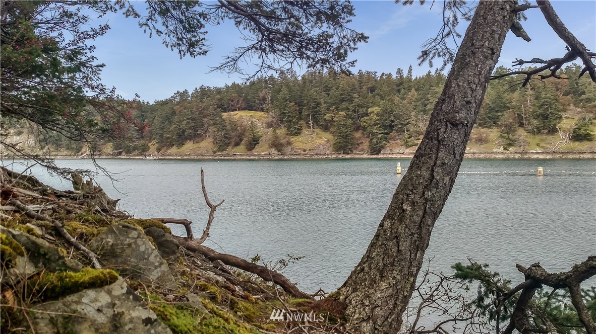 0 Reid Harbor Road Friday Harbor, WA 98250 - Photo 34 of 40 Gallery Image 34
