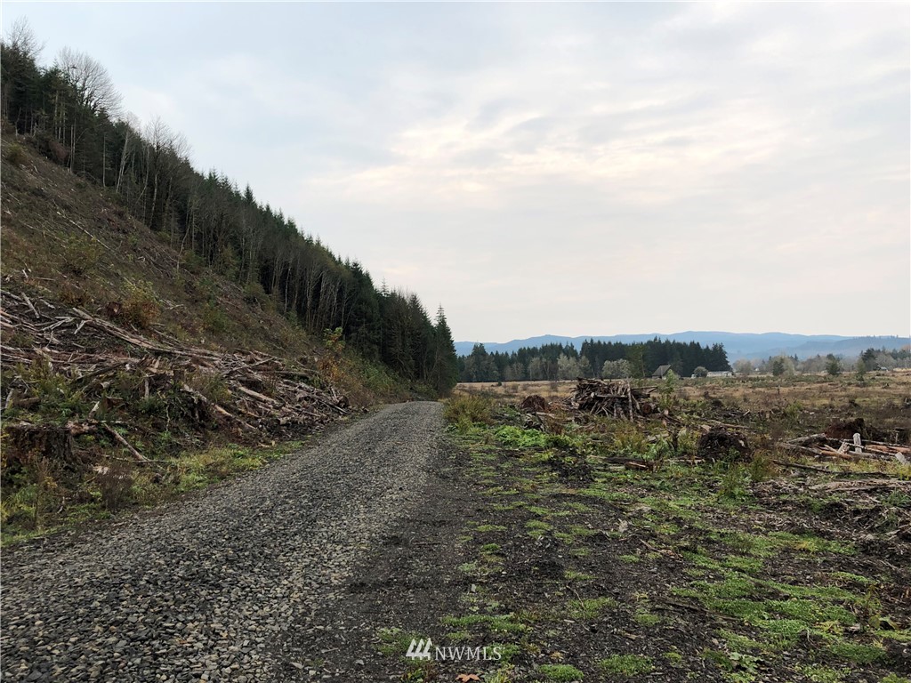 240 Katula Road Chehalis, WA 98532 - Photo 4 of 6