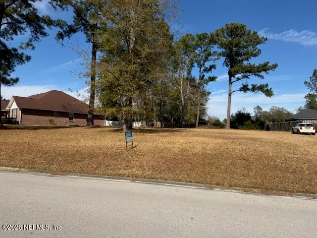 a street view with large trees