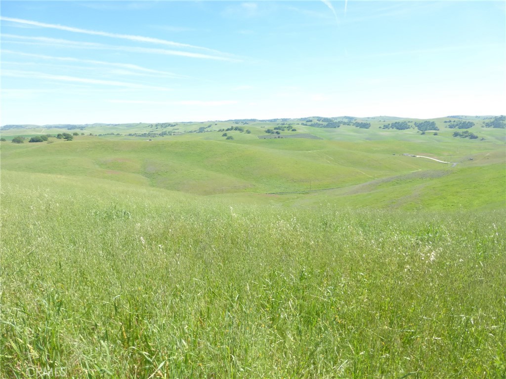 0 Douglas Road San Miguel, CA 93451 - Photo 24 of 44