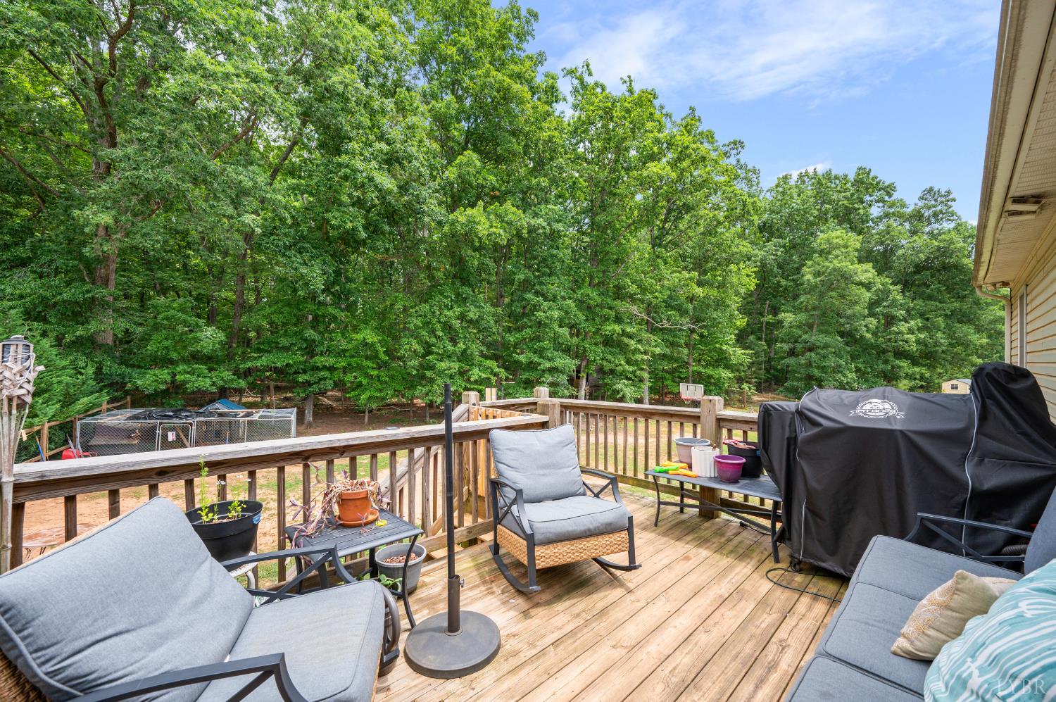 163 Samson Way Madison Heights, VA 24572 - Photo 36 of 54