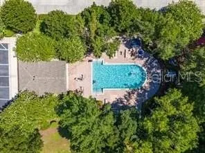 a view of a garden with a tree