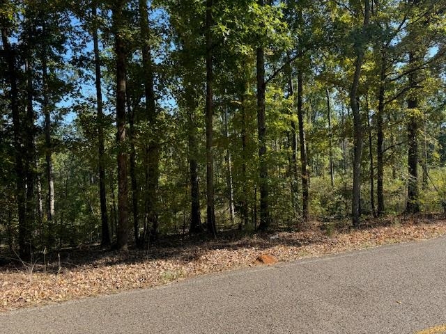 Gooch Store Road Hornsby, TN 38044 - Photo 13 of 16