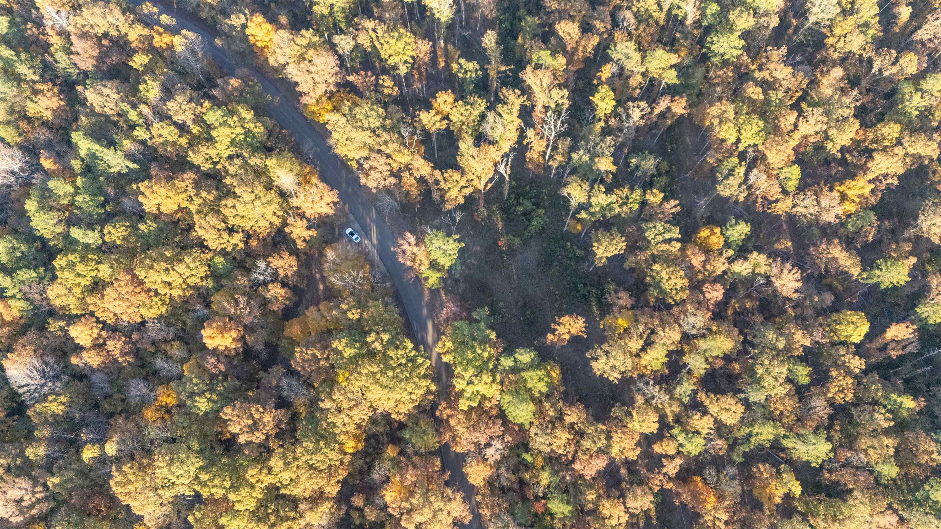 Gooch Store Road Hornsby, TN 38044 - Photo 14 of 16 a backyard of a house