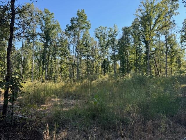 Gooch Store Road Hornsby, TN 38044 - Photo 15 of 16 a view of a forest with a tree
