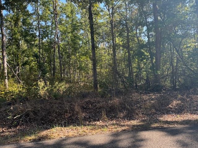 Gooch Store Road Hornsby, TN 38044 - Photo 16 of 16 a view of a forest with trees in the background