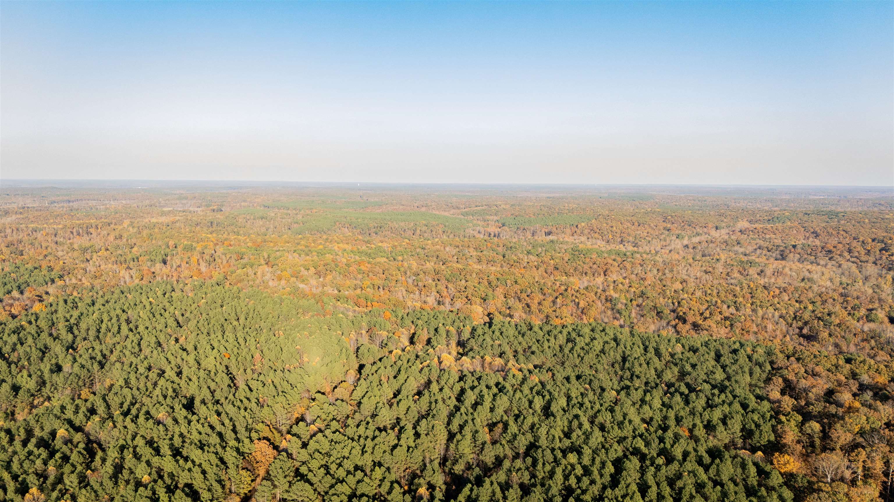 Gooch Store Road Hornsby, TN 38044 - Photo 2 of 16 wooden floor with a city view