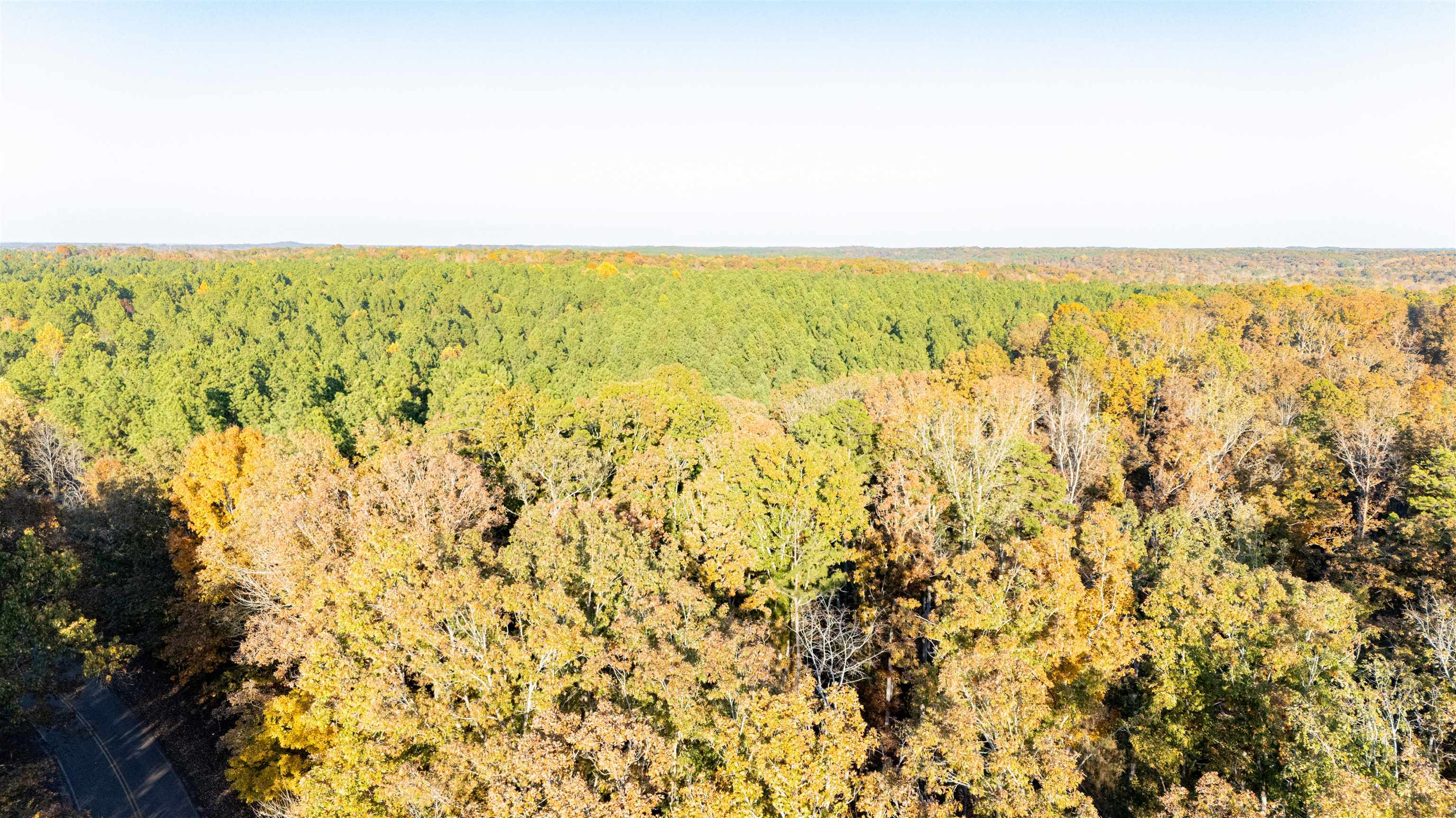 Gooch Store Road Hornsby, TN 38044 - Photo 6 of 16