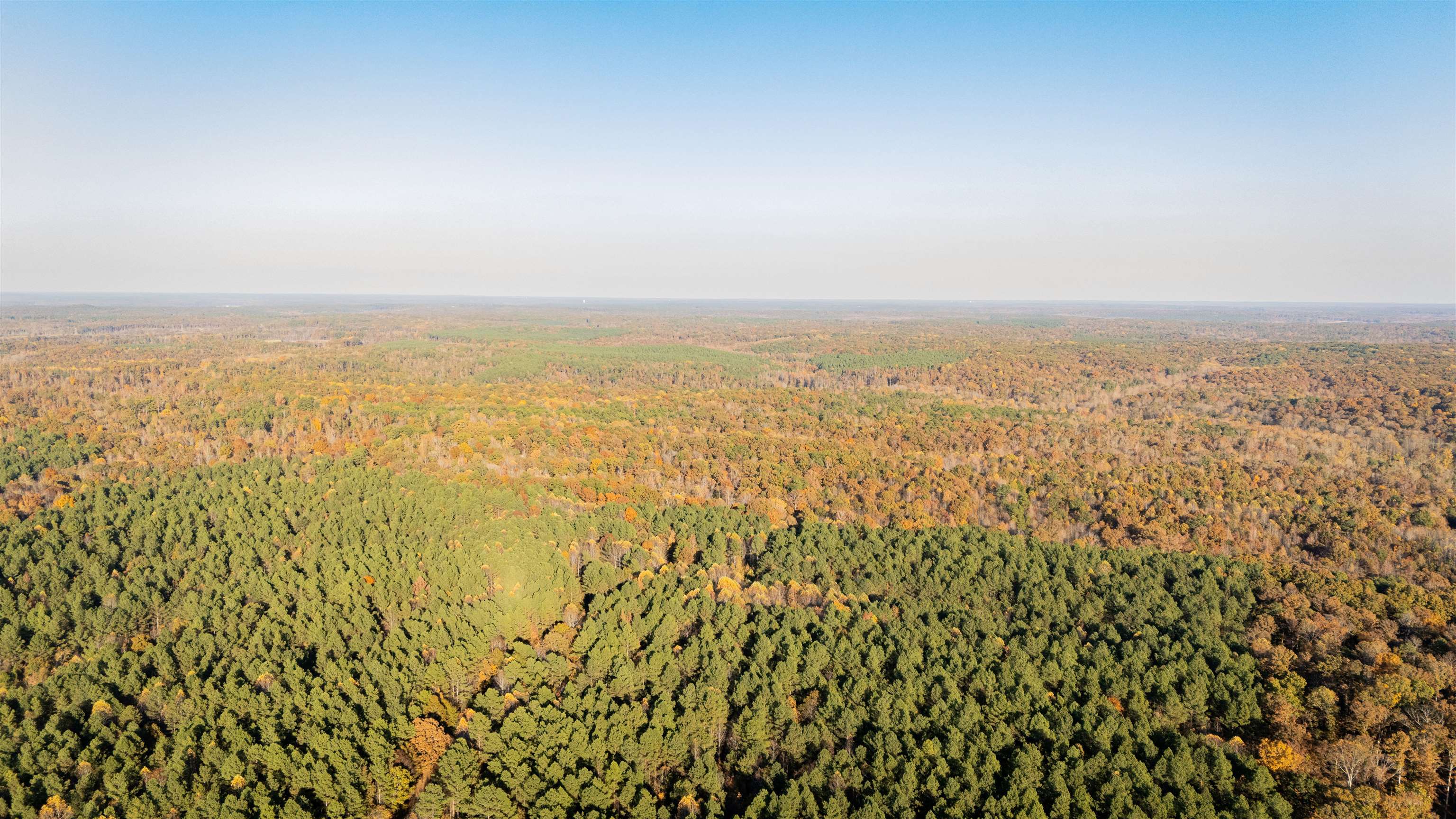 Gooch Store Road Hornsby, TN 38044 - Photo 7 of 16