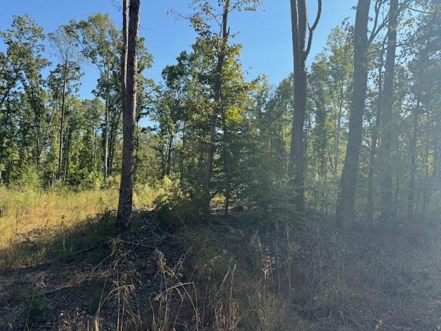 Gooch Store Road Hornsby, TN 38044 - Photo 10 of 16 a view of a forest with trees