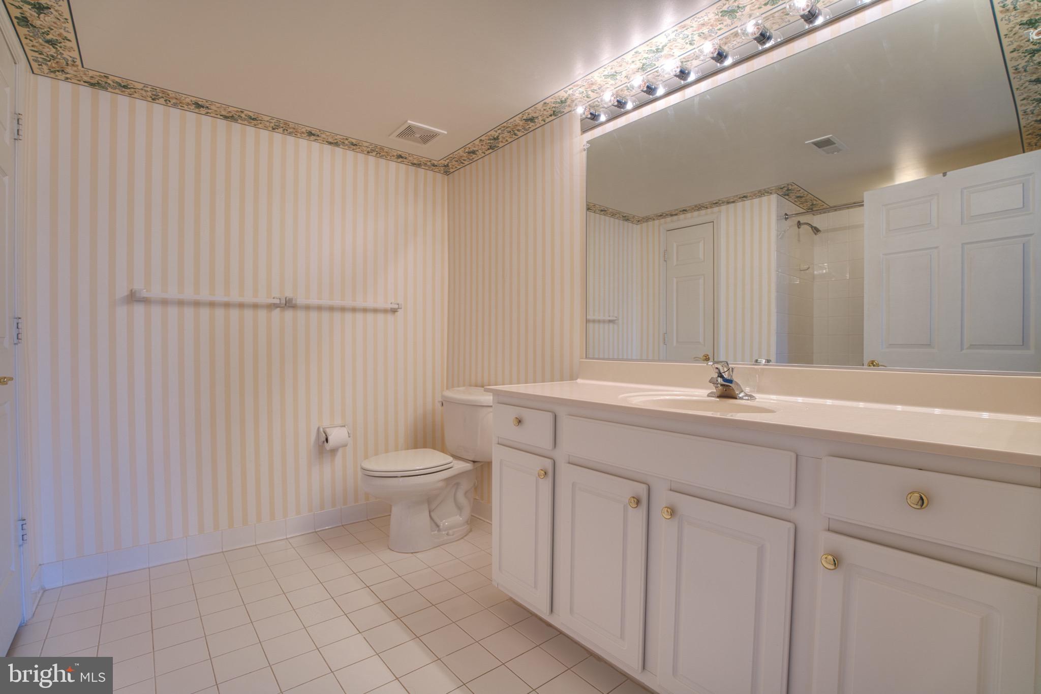 12330 Rosslare Ridge Road, Unit 505 Lutherville-Timonium, MD 21093 - Photo 30 of 45 Primary bath