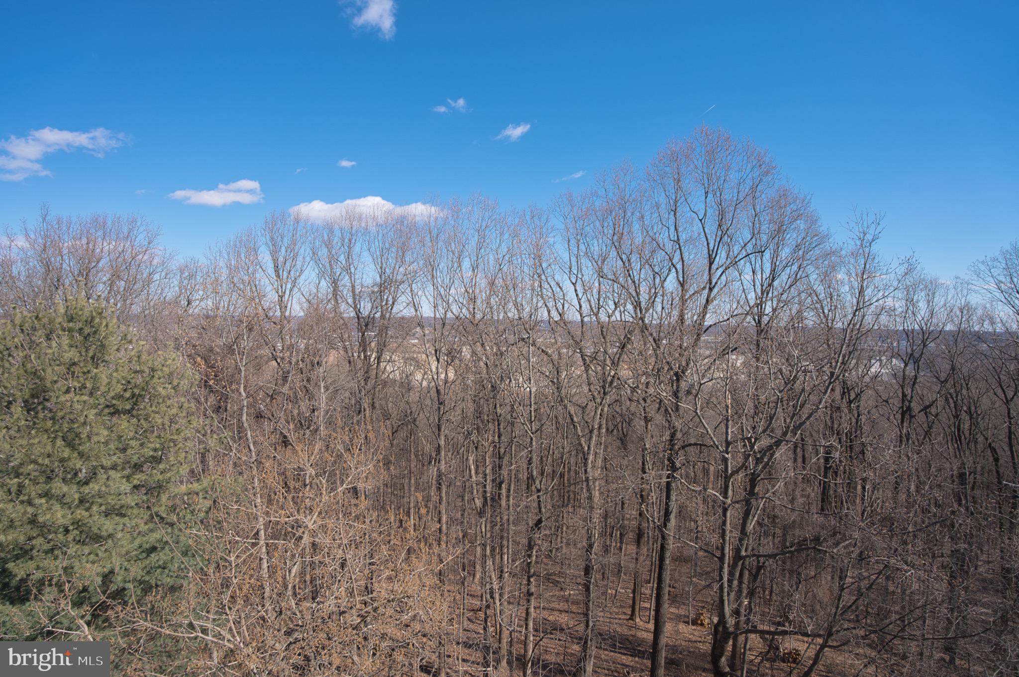 12330 Rosslare Ridge Road, Unit 505 Lutherville-Timonium, MD 21093 - Photo 40 of 45 Amazing views when trees are in bloom