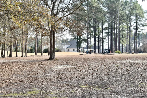 $35,000 | 20 Lake Arbu Drive, Manning, SC 29102