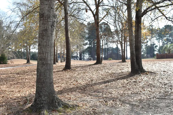 $35,000 | 20 Lake Arbu Drive, Manning, SC 29102