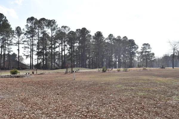 $35,000 | 20 Lake Arbu Drive, Manning, SC 29102