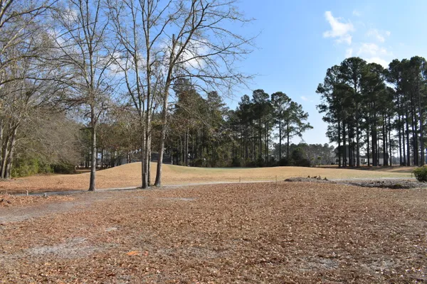 $35,000 | 20 Lake Arbu Drive, Manning, SC 29102