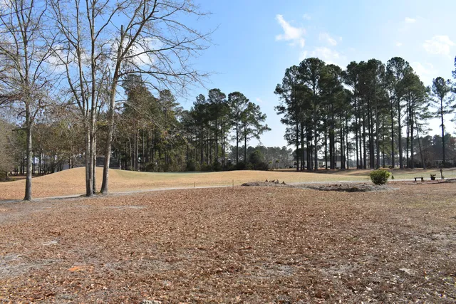 $35,000 | 20 Lake Arbu Drive, Manning, SC 29102