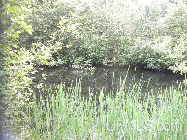 586 Londo Road Wakefield, MI 49968 - Photo 9 of 36 Gallery Image 9