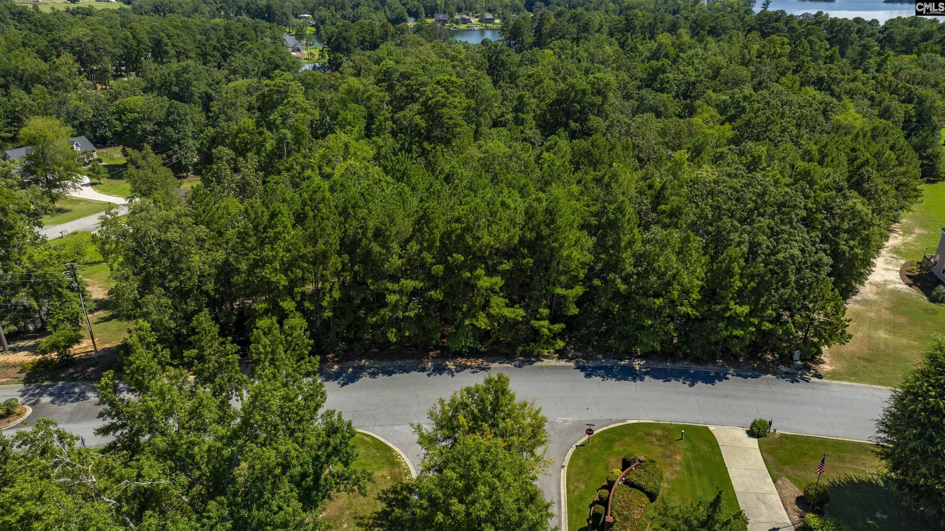 409 Caro Lane Chapin, SC 29036 - Photo 3 of 24