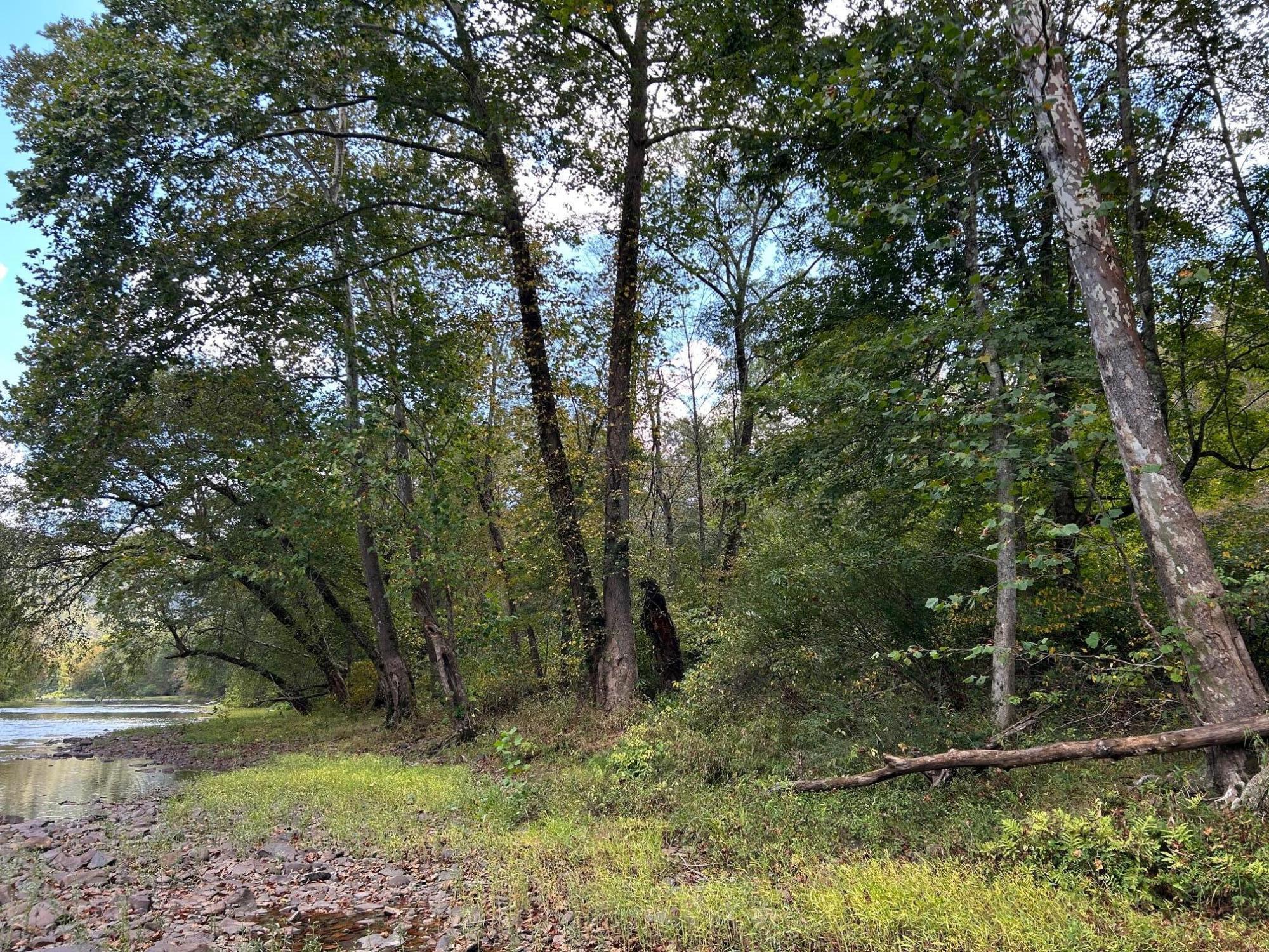 Tbd Keister Road Frankford, WV 24938 - Photo 21 of 40 Gallery Image 21