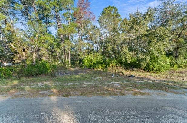 7931 Rhanbuoy Road Spring Hill, FL 34606 - Photo 13 of 14 a view of a yard with a tree