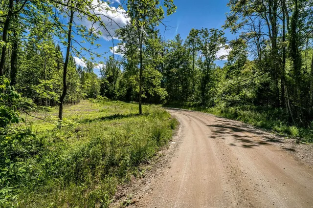 $62,500 | Lot 1 Green Creek Road, Schuyler, VA 22969