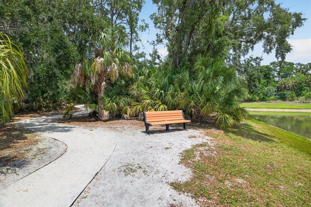 8717 Corkscrew Crossing Parrish, FL 34219 - Photo 54 of 56