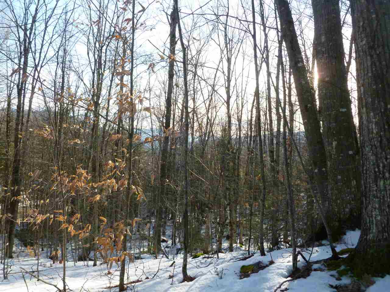 0 Wallace Hill Road Franconia, NH 03580 - Photo 3 of 8