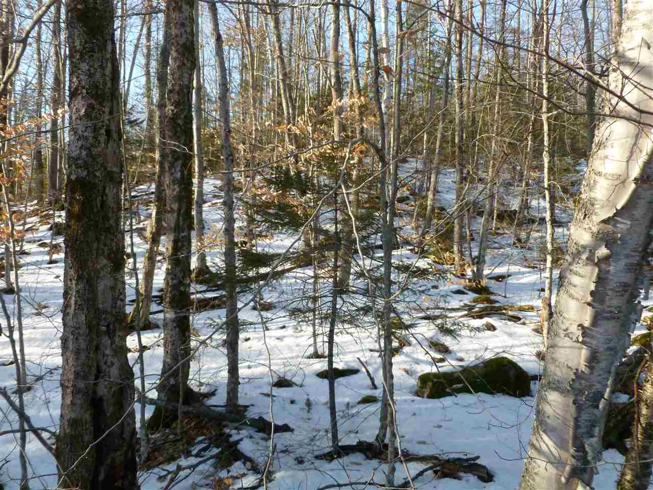 0 Wallace Hill Road Franconia, NH 03580 - Photo 5 of 8