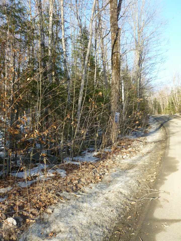 0 Wallace Hill Road Franconia, NH 03580 - Photo 6 of 8