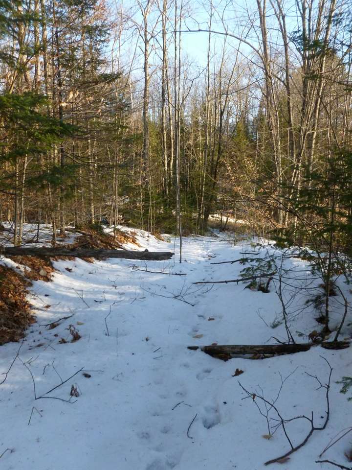 0 Wallace Hill Road Franconia, NH 03580 - Photo 7 of 8