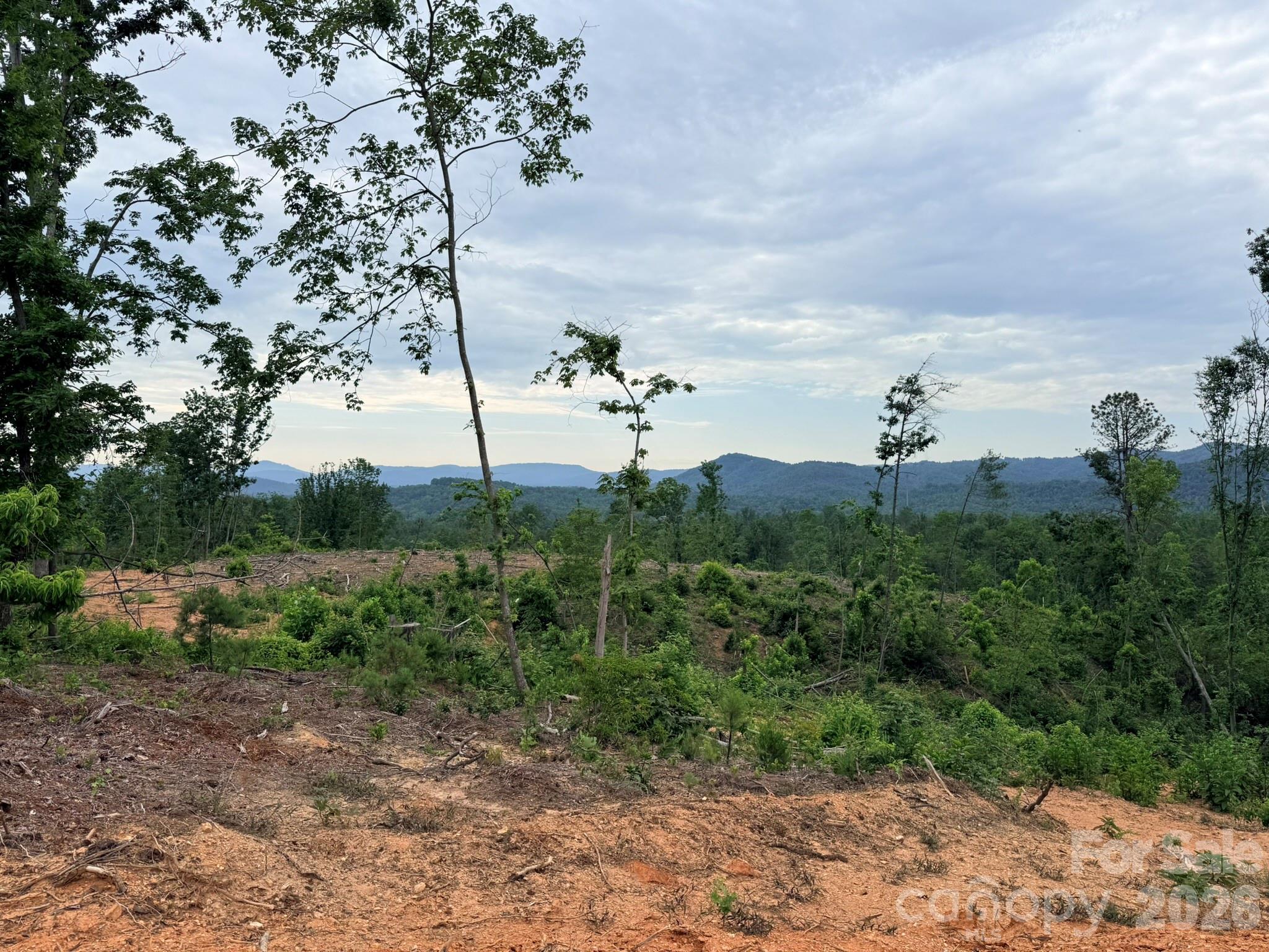 Tbd North Marley Ford Road Ferguson, NC 28624 - Photo 11 of 26