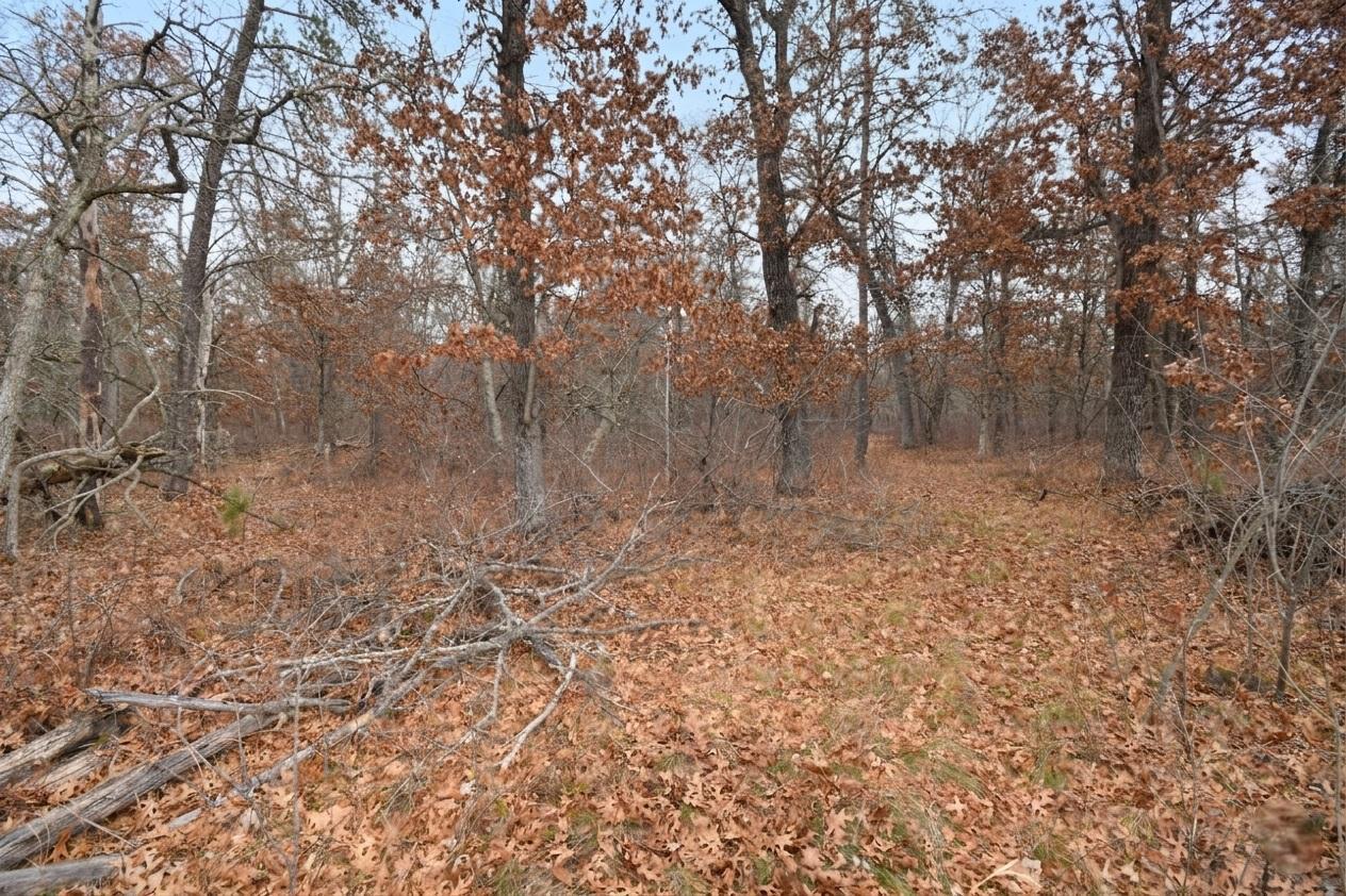 29174 French Road Danbury, WI 54830 - Photo 50 of 60