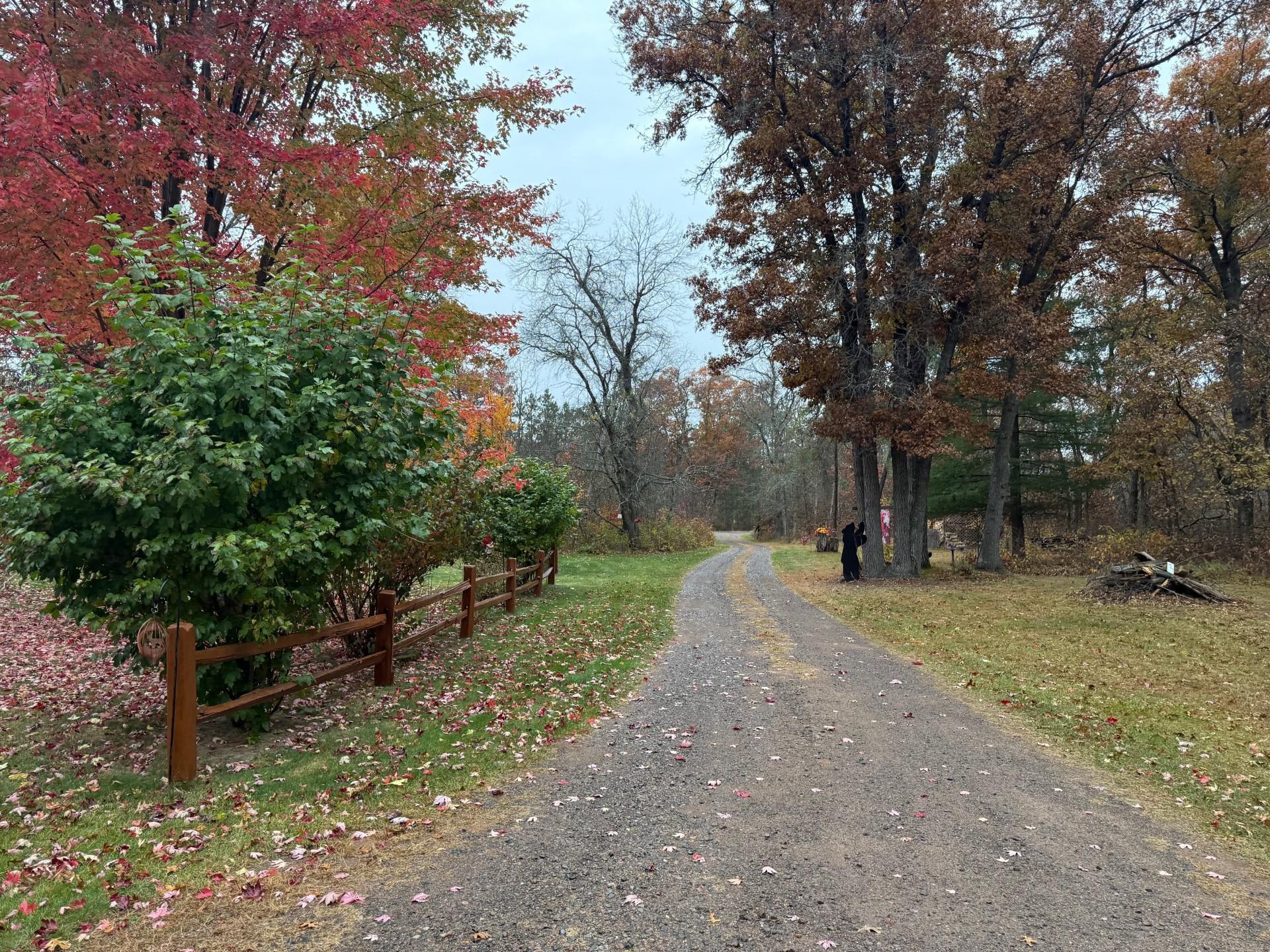 29174 French Road Danbury, WI 54830 - Photo 54 of 60