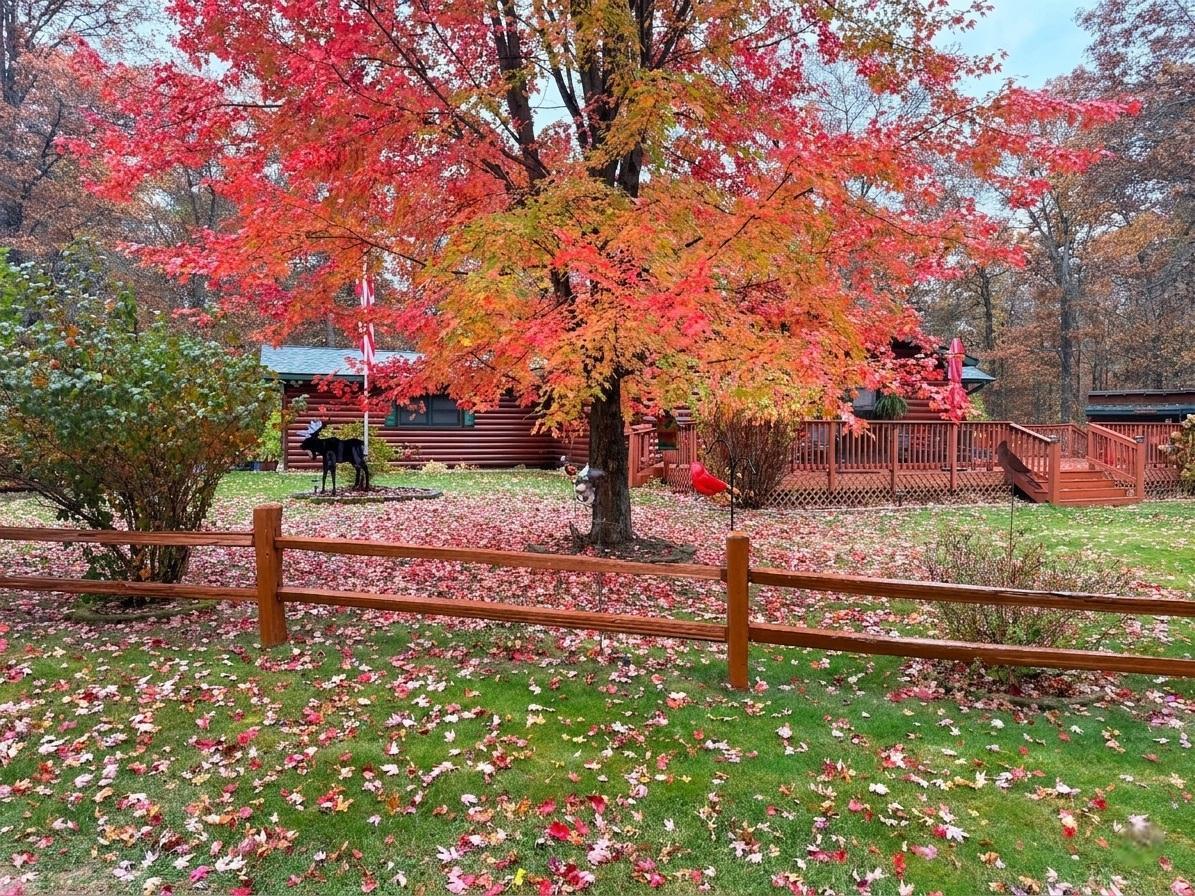 29174 French Road Danbury, WI 54830 - Photo 58 of 60