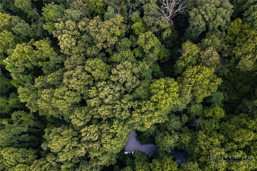 Lot 4 Old Orchard Road Lenoir, NC 28645 - Photo 14 of 23