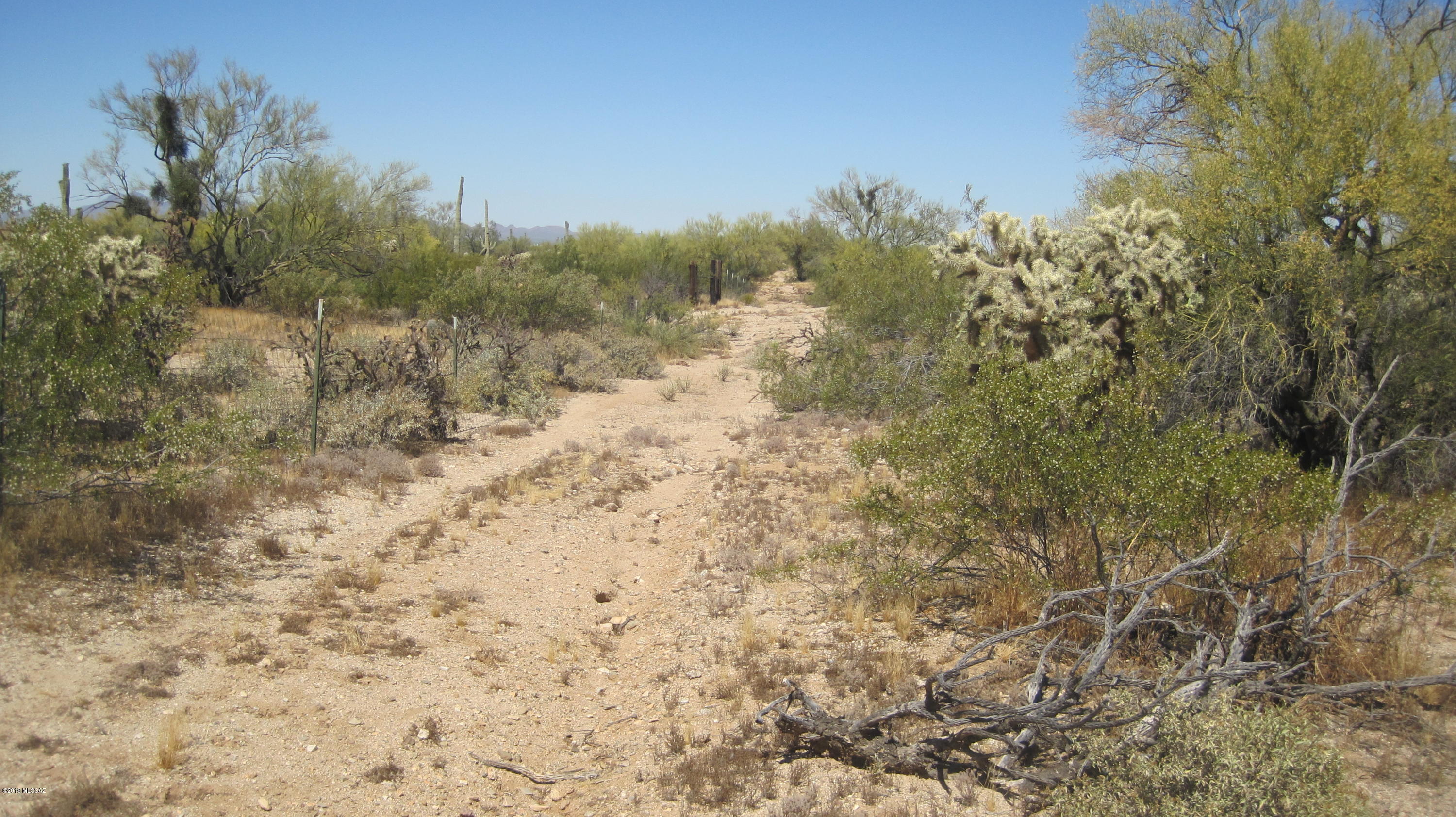 Oo South Cattle Tank Road, Unit 7 5 AC Marana, AZ 85658 - Photo 18 of 22