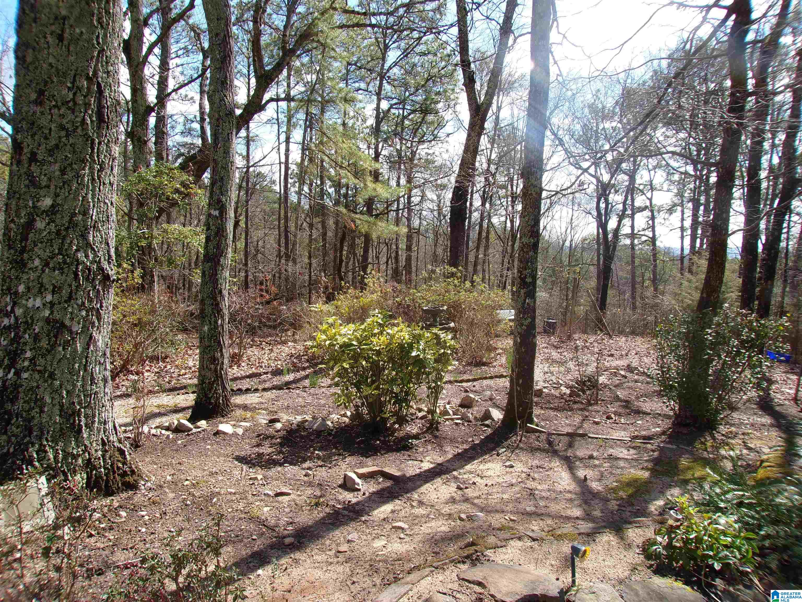 410 Stone Ridge Road Anniston, AL 36207 - Photo 63 of 74