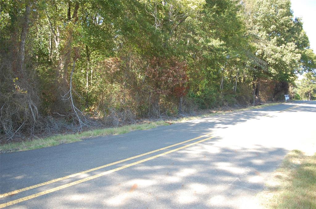 0 Rice Road Shreveport, LA 71119 - Photo 4 of 8 a view of a yard with a tree