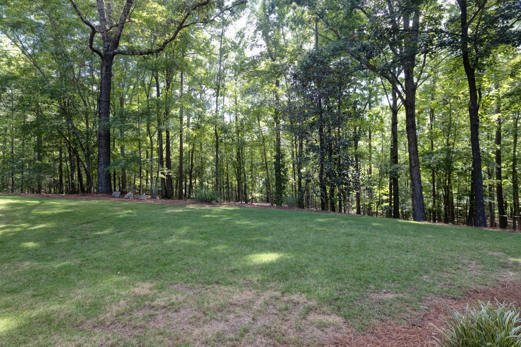 341 Grantham Road Hamilton, GA 31811 - Photo 14 of 69 Gallery Image 14