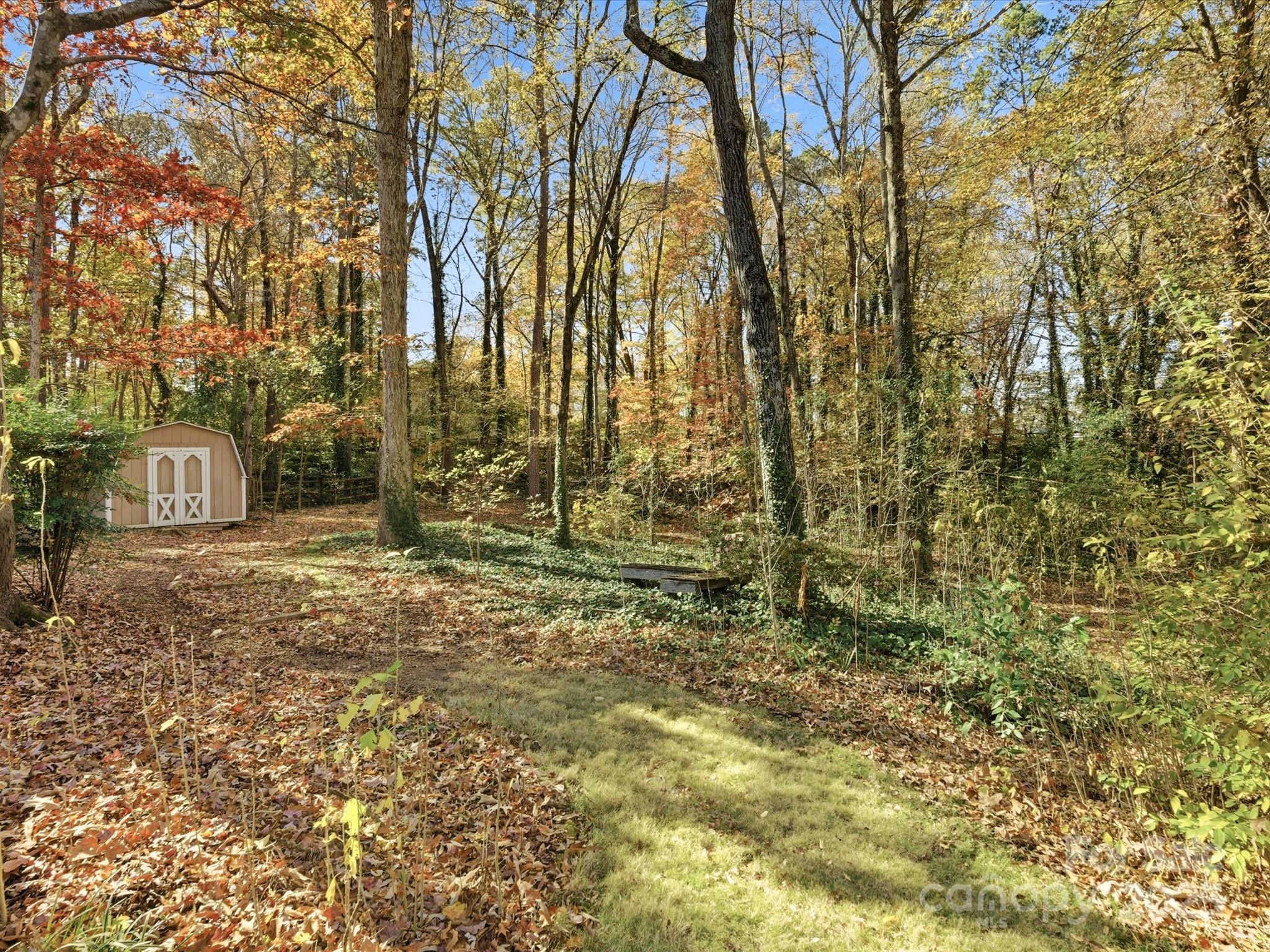 2621 Brightmoor Ridge Drive Matthews, NC 28105 - Photo 19 of 24 a view of a backyard with large trees