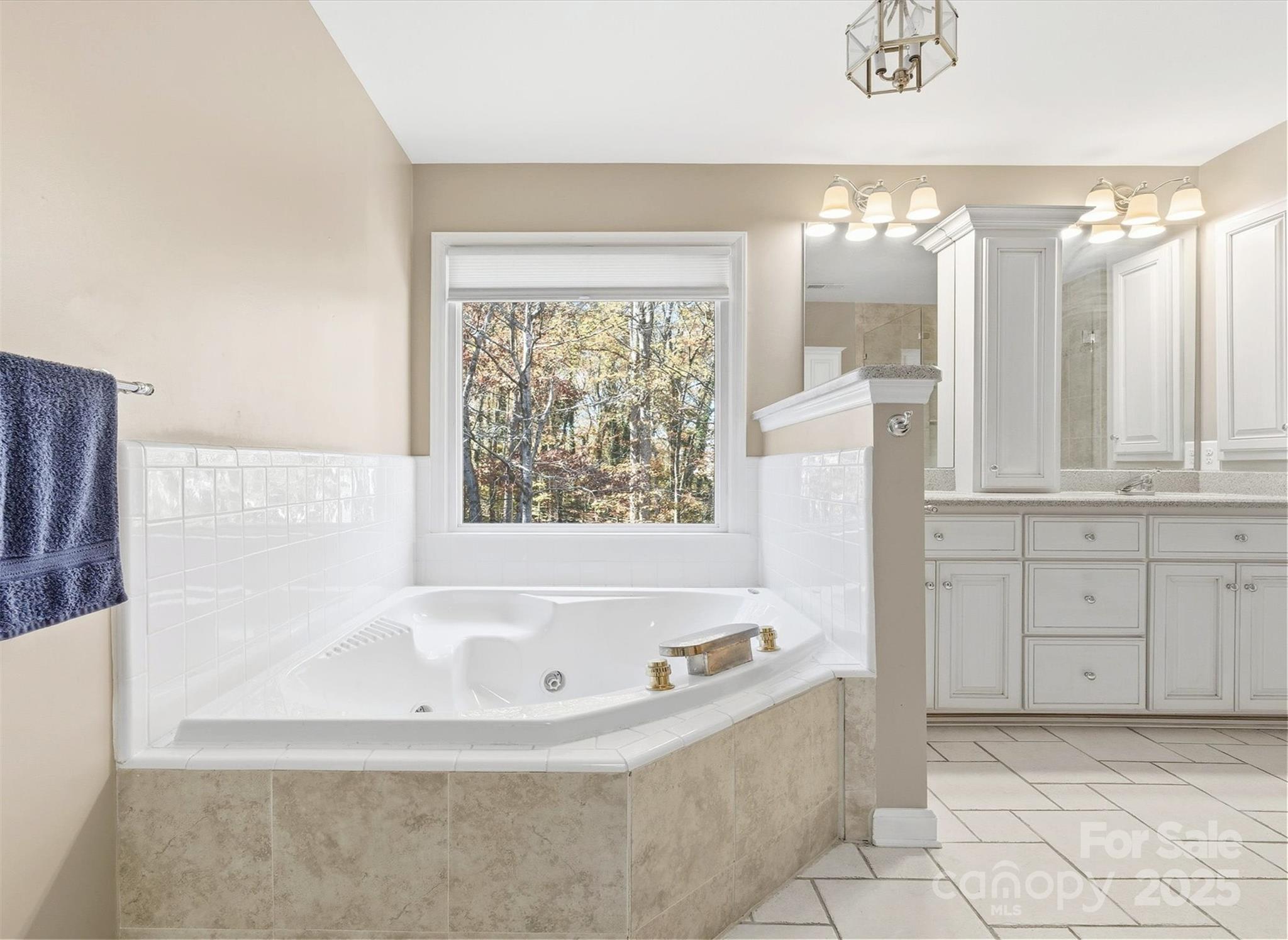 2621 Brightmoor Ridge Drive Matthews, NC 28105 - Photo 10 of 24 a bathroom with bathtub and window
