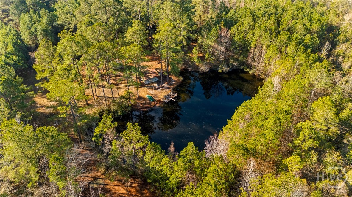 0 Stillwell Clyo Road Springfield, GA 31329 - Photo 17 of 20
