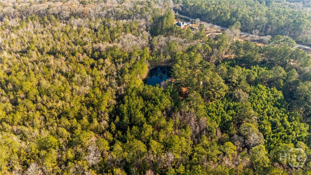 0 Stillwell Clyo Road Springfield, GA 31329 - Photo 18 of 20