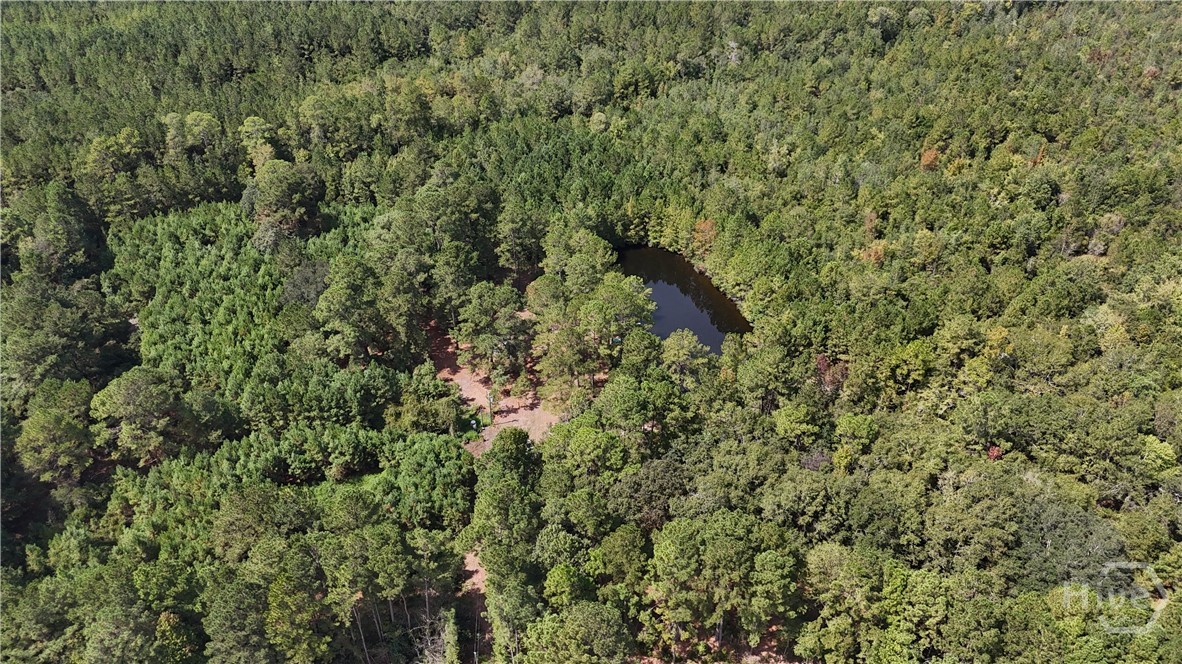 0 Stillwell Clyo Road Springfield, GA 31329 - Photo 20 of 20