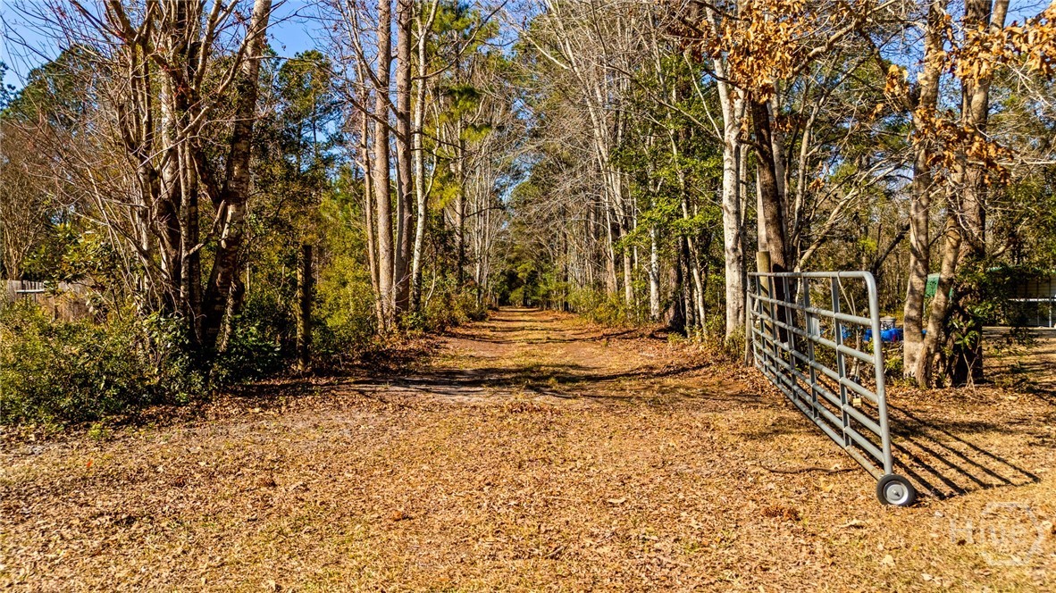 0 Stillwell Clyo Road Springfield, GA 31329 - Photo 4 of 20