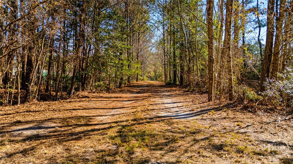 0 Stillwell Clyo Road Springfield, GA 31329 - Photo 5 of 20